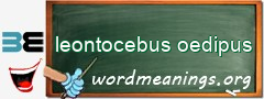 WordMeaning blackboard for leontocebus oedipus